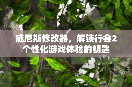 威尼斯修改器,解锁行会2个性化游戏体验的钥匙 威尼斯修改器,解锁行会2个性化游戏体验的钥匙