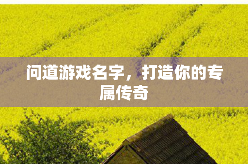 打造你的专属传奇图片