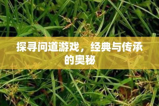 经典与传承的奥秘图片