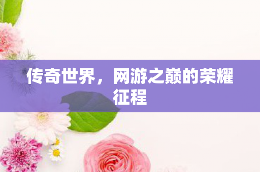 网游之巅的荣耀征程图片