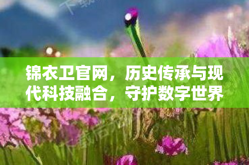 守护数字世界的秩序与安全图片