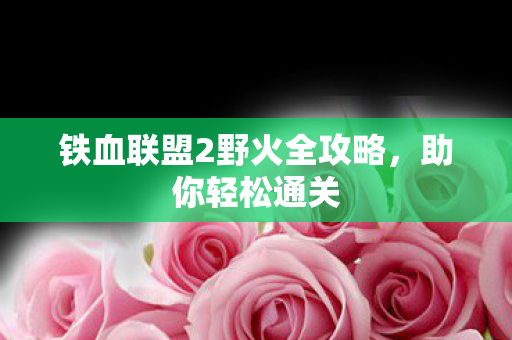 铁血联盟2野火全攻略，助你轻松通关