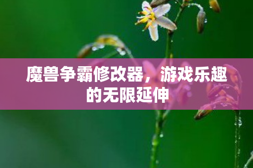 游戏乐趣的无限延伸图片