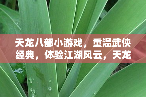 天龙八部小游戏图片