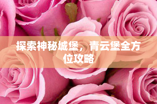 青云堡全方位攻略图片