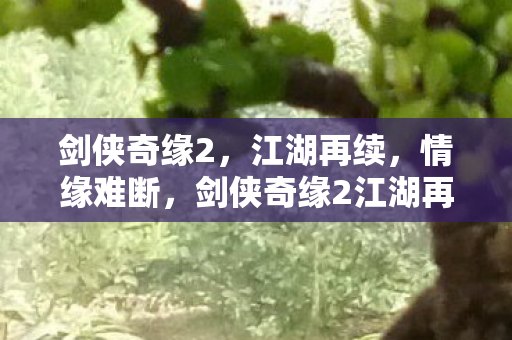 剑侠奇缘2江湖再续图片