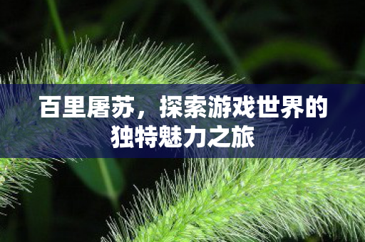 百里屠苏,探索游戏世界的独特魅力之旅 百里屠苏,探索游戏世界的独特魅力之旅