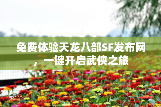 免费体验天龙八部SF发布网，一键开启武侠之旅