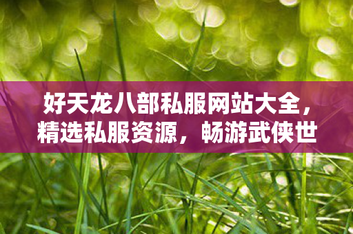 好天龙八部私服网站大全,精选私服资源,畅游武侠世界 好天龙八部私服网站大全,精选私服资源,畅游武侠世界