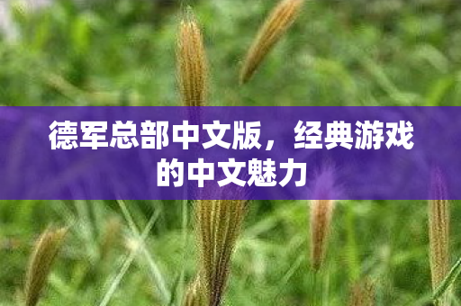 德军总部中文版，经典游戏的中文魅力
