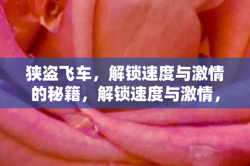 狭盗飞车，解锁速度与激情的秘籍，解锁速度与激情，狭盗飞车秘籍