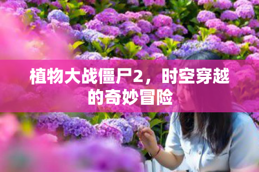 时空穿越的奇妙冒险图片