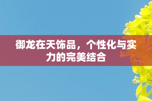 个性化与实力的完美结合图片