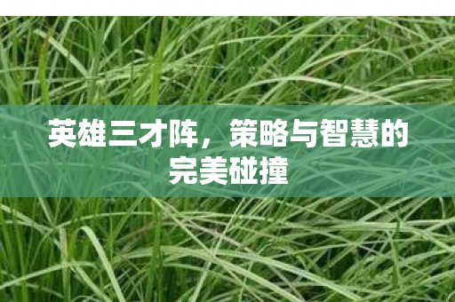 策略与智慧的完美碰撞图片