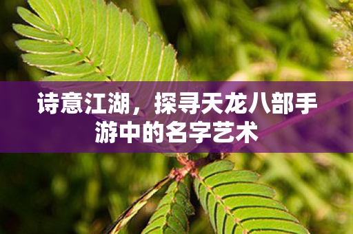 诗意江湖，探寻天龙八部手游中的名字艺术