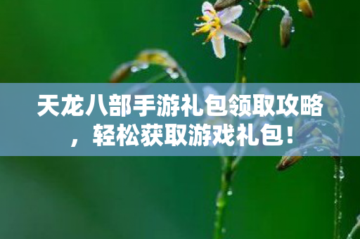 天龙八部手游礼包领取攻略，轻松获取游戏礼包！
