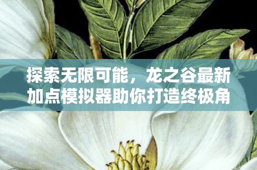 龙之谷最新加点模拟器助你打造终极角色图片