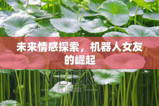 未来情感探索,机器人女友的崛起 未来情感探索,机器人女友的崛起
