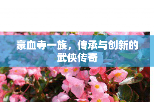 豪血寺一族,传承与创新的武侠传奇 豪血寺一族,传承与创新的武侠传奇