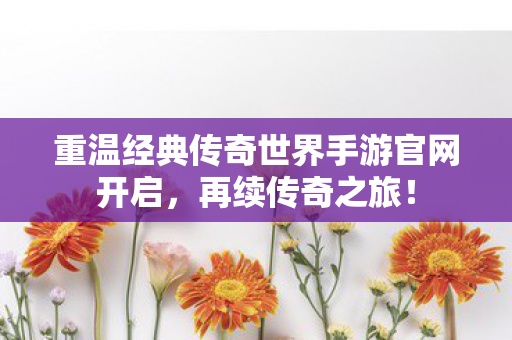 重温经典传奇世界手游官网开启图片