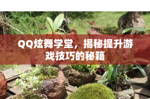 揭秘提升游戏技巧的秘籍图片