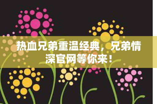 兄弟情深官网等你来图片