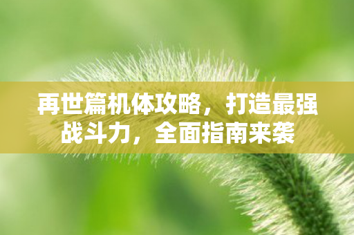 再世篇机体攻略图片