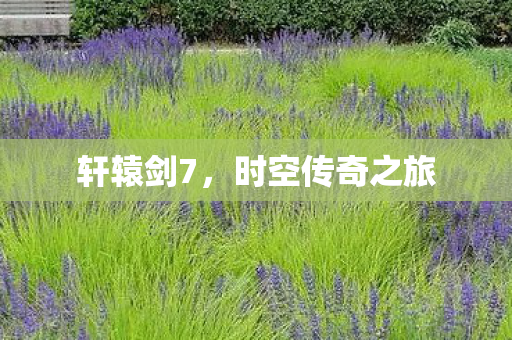 时空传奇之旅图片