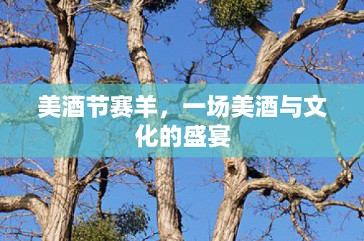 一场美酒与文化的盛宴图片
