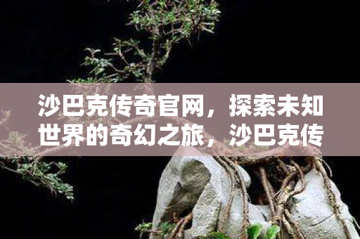 探索未知世界的奇幻之旅图片
