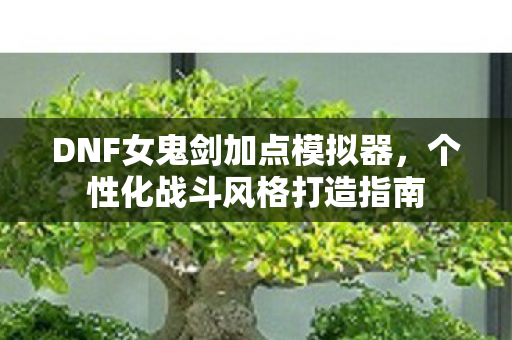DNF女鬼剑加点模拟器图片
