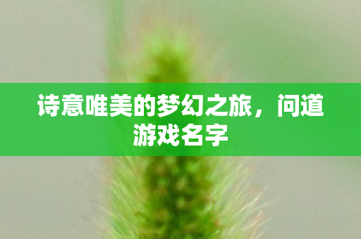 诗意唯美的梦幻之旅图片