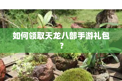 如何领取天龙八部手游礼包？