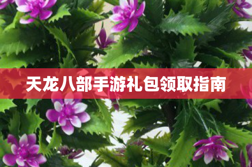 天龙八部手游礼包领取指南