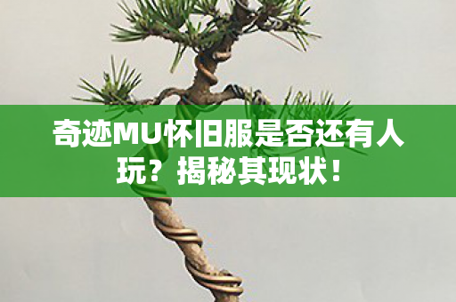 奇迹MU怀旧服是否还有人玩?揭秘其现状! 奇迹MU怀旧服是否还有人玩?揭秘其现状!