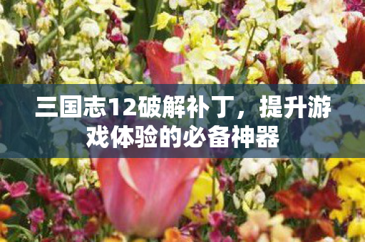 三国志12破解补丁，提升游戏体验的必备神器
