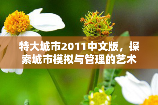 特大城市2011中文版，探索城市模拟与管理的艺术