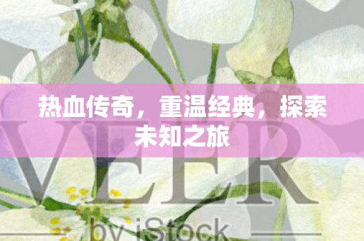 探索未知之旅图片