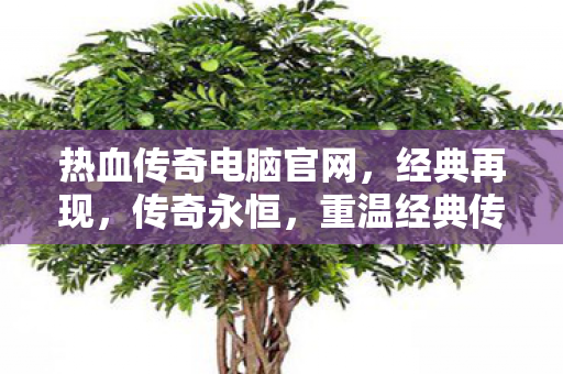 热血传奇电脑官网图片