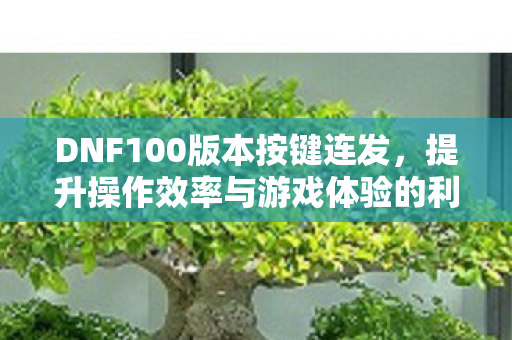 提升操作效率与游戏体验的利器图片
