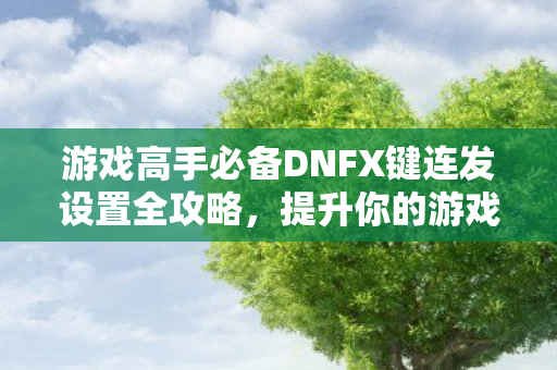 游戏高手必备DNFX键连发设置全攻略图片