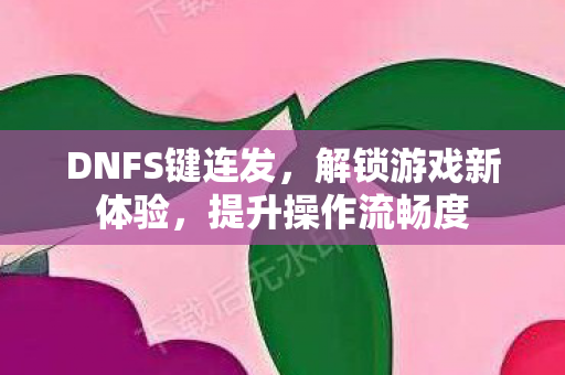 DNFS键连发图片