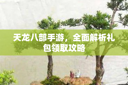 天龙八部手游，全面解析礼包领取攻略