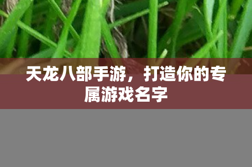 天龙八部手游，打造你的专属游戏名字
