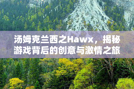 汤姆克兰西之Hawx，揭秘游戏背后的创意与激情之旅