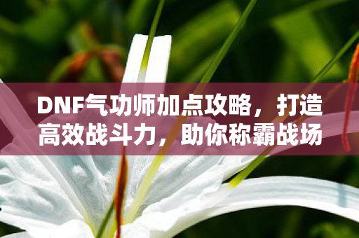 DNF气功师加点攻略，打造高效战斗力，助你称霸战场！