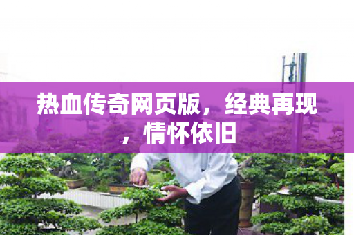 热血传奇网页版图片