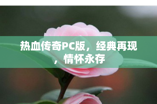 热血传奇PC版图片