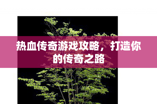 热血传奇游戏攻略图片