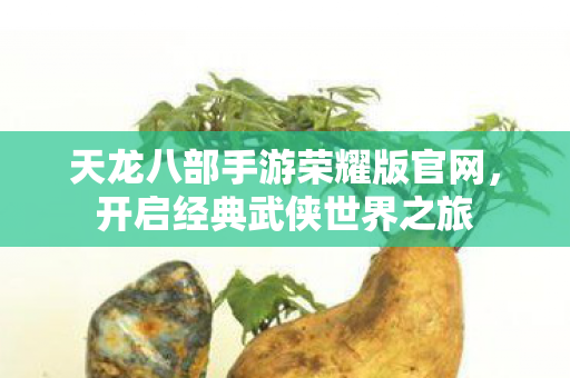 天龙八部手游荣耀版官网,开启经典武侠世界之旅 天龙八部手游荣耀版官网,开启经典武侠世界之旅